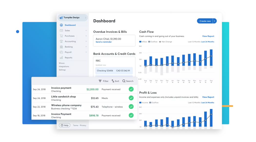 Wave Accounting Screenshot