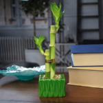 Desktop bamboo gift
