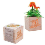 Desktop Grow Kit